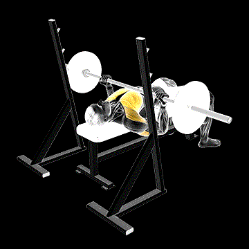 Barbell Reverse-Grip Bench Press demonstration