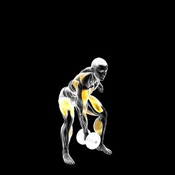 Dumbbell Single Power Clean demonstration