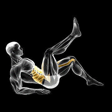 Alternate Toe Tap Leg Lift demonstration