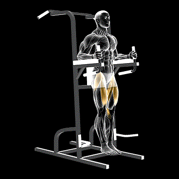 Captain's Chair Leg Raise demonstration