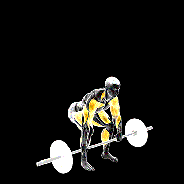 Barbell Clean and Jerk demonstration