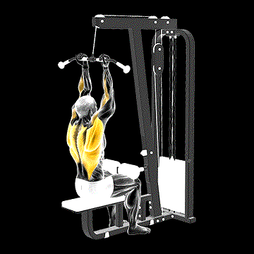 Cable Reverse-Grip Pulldown demonstration