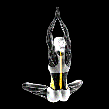 Seated Upper Body Rotation demonstration