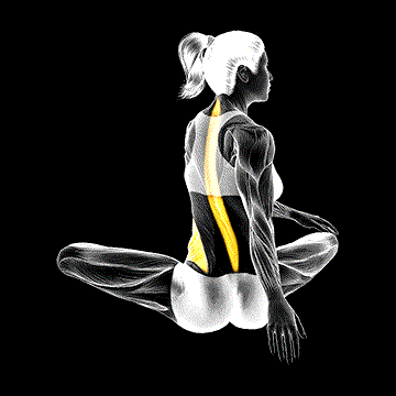 Seated Rotation Stretch demonstration