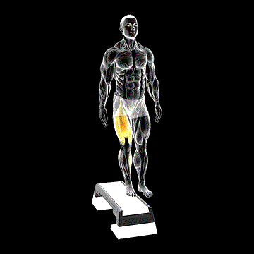 Lateral Step-Up demonstration