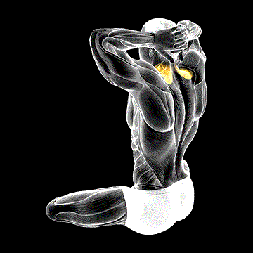 Seated Neck Stretch demonstration