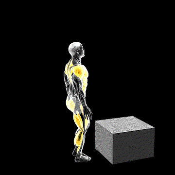 One-Leg Box Jump demonstration