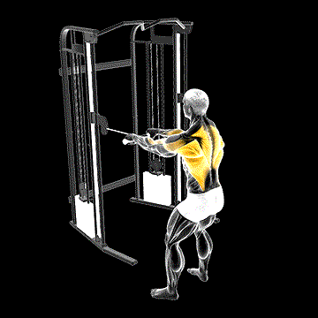 Cable Standing Close-Grip Row demonstration