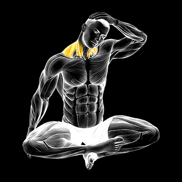 Seated Neck Side Stretch demonstration