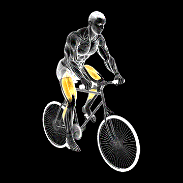 Riding Outdoor Bicycle demonstration