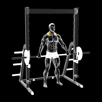 Smith Wide Shrug demonstration