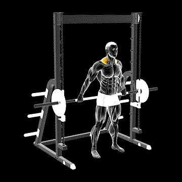 Smith Back Wide Shrug demonstration
