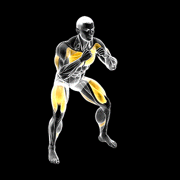 Cross-Body Punch in Squat Position demonstration