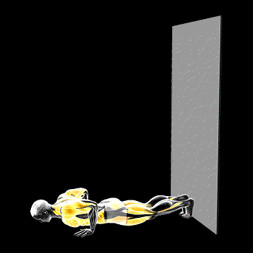 Wall Walk demonstration