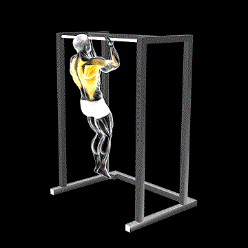 Bent-Arms Chin-Up demonstration