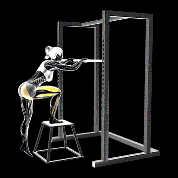 Bodyweight Glute-Dominant Step-Up demonstration