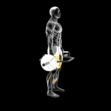 Trap Bar Squat demonstration