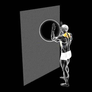 Exercise Ball Serratus Wall Slide demonstration