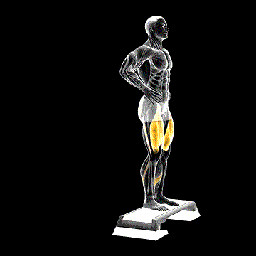 Rear Lunge from Deficit demonstration