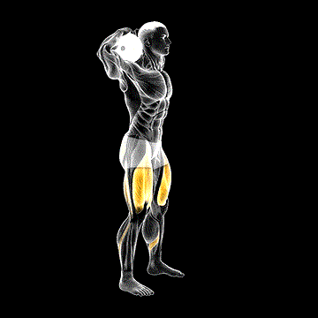 Dumbbell Good Morning Squat demonstration
