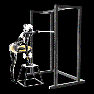 Dumbbell Glute-Dominant Step-Up demonstration