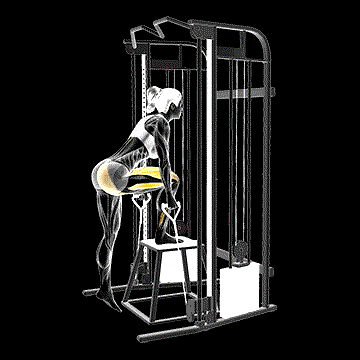 Cable Glute-Dominant Step-Up demonstration