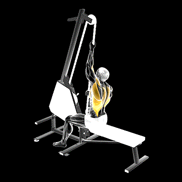 Lever Multi Mode Rope Lat Pulldown demonstration