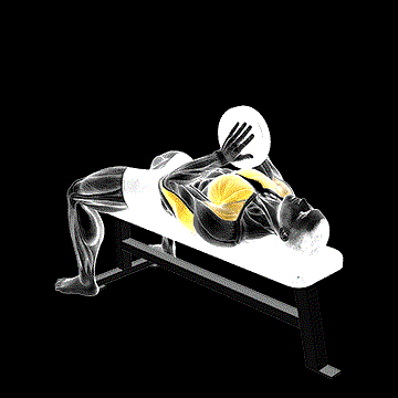 Svend Bench Press demonstration