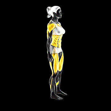 Burpee Push-up Mountain Climber Complex demonstration