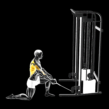 Cable Kneeling One-Arm Row demonstration
