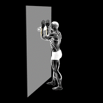Roll Forearm Standing Against Wall demonstration