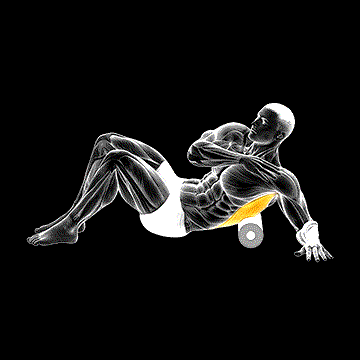 Roll Lower Back (Side) Lying on Floor demonstration