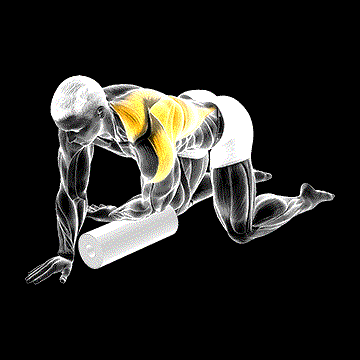 Roll Kneeling Upper Back Rotation demonstration