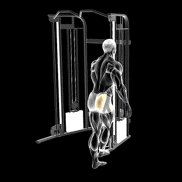 Cable Medius Kickback demonstration