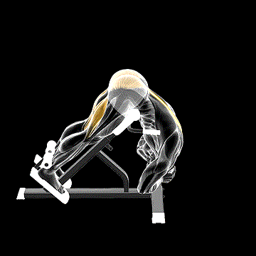 Rounded Back Extension demonstration