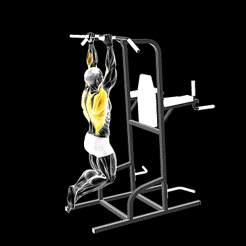 Shoulder-Width Neutral Grip Pull-up demonstration