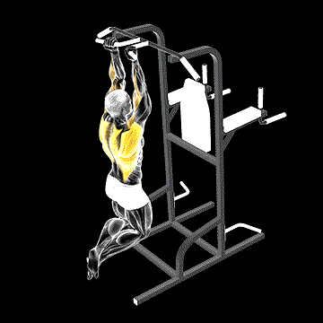 Supinated Narrow-Grip Pull-up demonstration