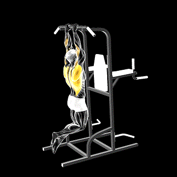 Close-Grip Pull-Up demonstration