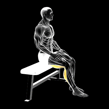Seated Foot Slide demonstration