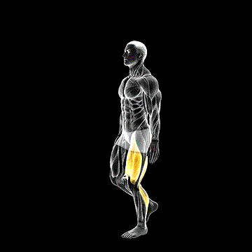 One-Leg Hopping demonstration