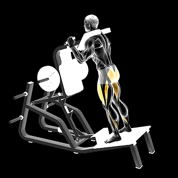 Lever Hack Squat demonstration