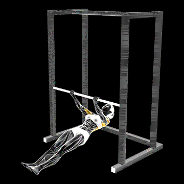 Supinated-Grip Inverted Row demonstration