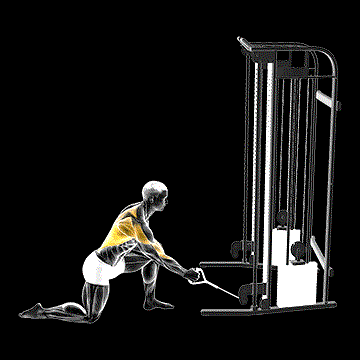 Cable Kneeling Leaning Forward One-Arm Row demonstration