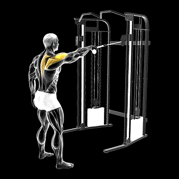 Cable Standing One-Arm Face Pull demonstration