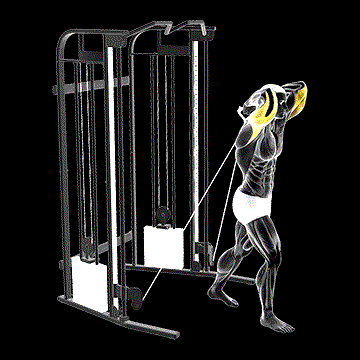Cable Standing Crossover Overhead Tricep Extension demonstration