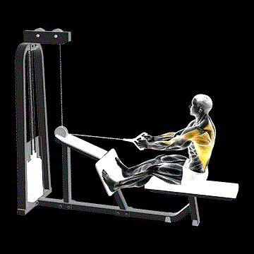 Cable Seated Lat-Focused Row demonstration