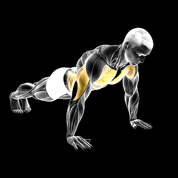 Negative Push-Up demonstration