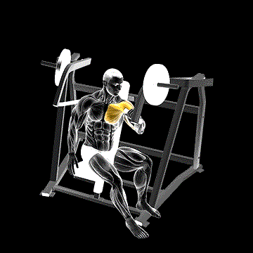 Lever One-Arm Incline Chest Press (Plate Loaded) demonstration