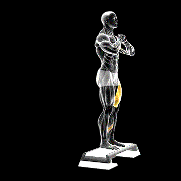 Rear-Shift Lunge from Deficit demonstration