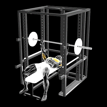 Barbell Pin Chest Press demonstration
